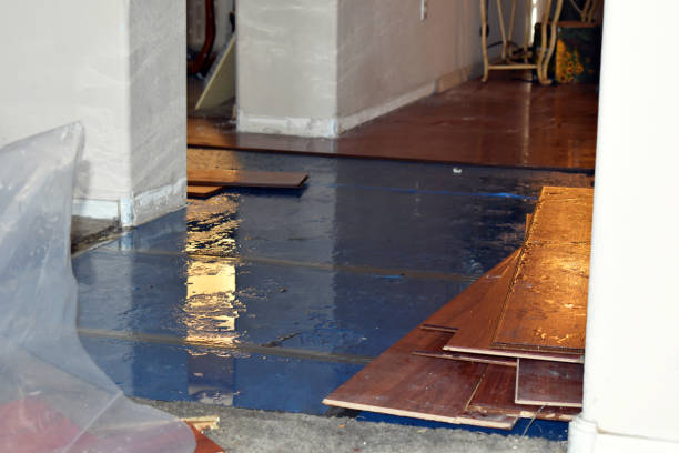 Professional Emergency Water Damage Restoration technician working in Laupahoehoe, HI